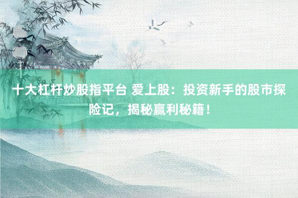 十大杠杆炒股指平台 爱上股：投资新手的股市探险记，揭秘赢利秘籍！