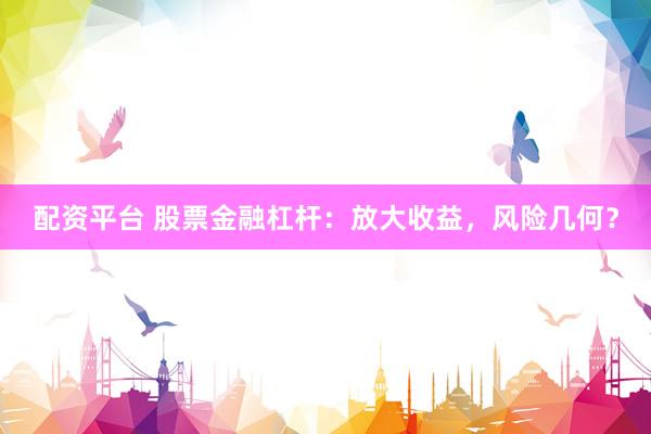 配资平台 股票金融杠杆：放大收益，风险几何？