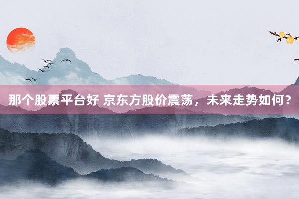 那个股票平台好 京东方股价震荡，未来走势如何？