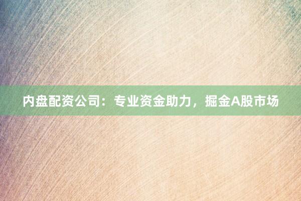 内盘配资公司：专业资金助力，掘金A股市场