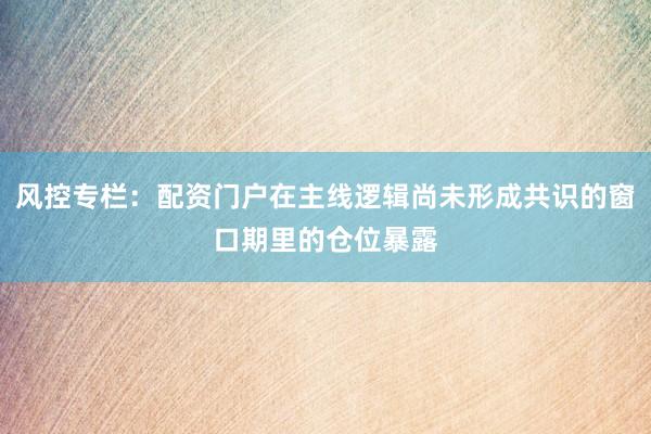 风控专栏：配资门户在主线逻辑尚未形成共识的窗口期里的仓位暴露