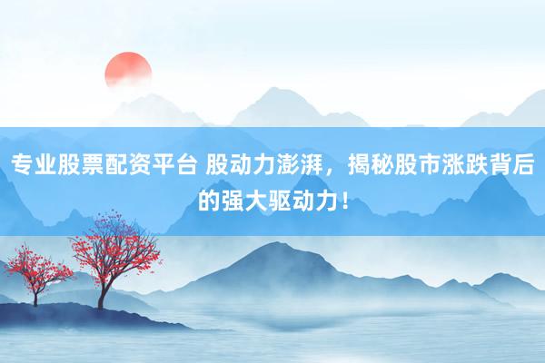 专业股票配资平台 股动力澎湃，揭秘股市涨跌背后的强大驱动力！