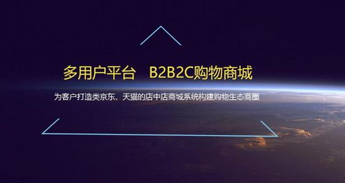 b2b2c多商户商城系统,有什么优缺点呢